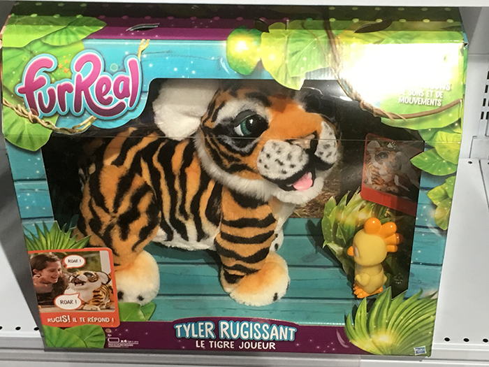 tyler tigre rugissant